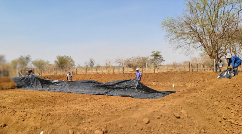 Professional fish pond construction in Zimbabwe